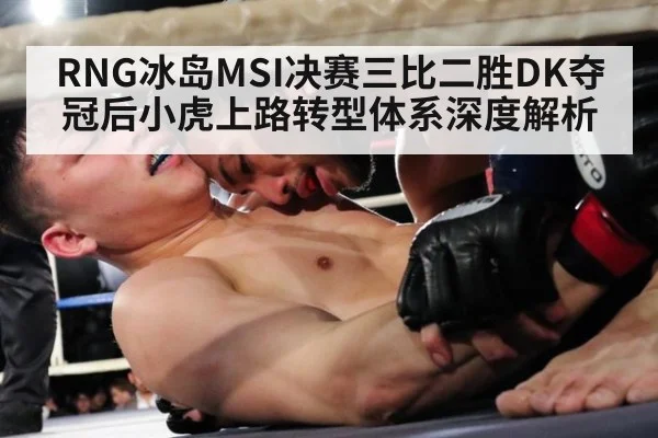 RNG冰岛MSI决赛三比二胜DK夺冠后小虎上路转型体系深度解析